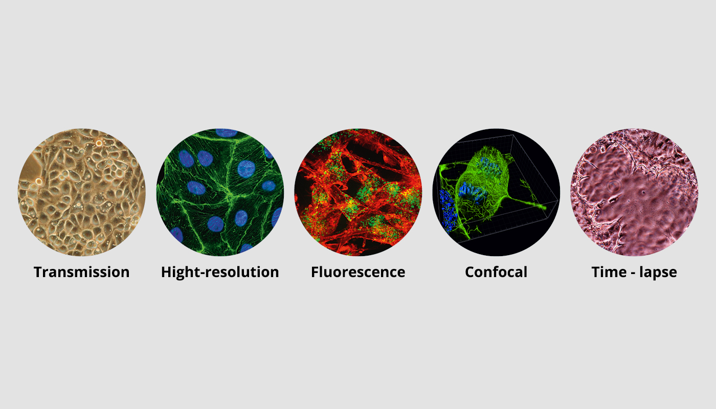 Zellkultur- Einsätze - Hektros 2 Zellkultur- Einsätze - Hektros svg+xml;charset=utf