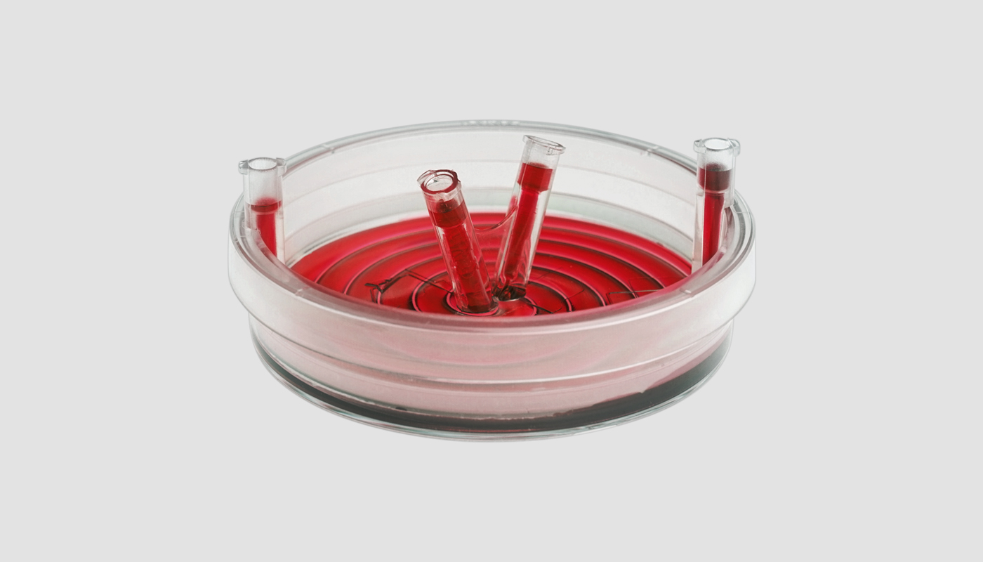 HiperGo 2 HiperGo svg+xml;charset=utf