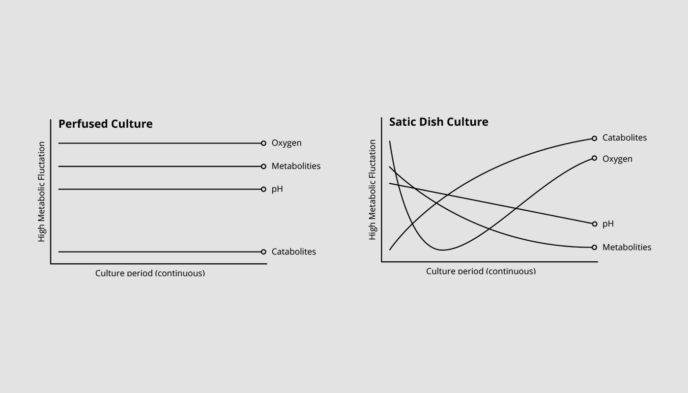 HiperGo 5 HiperGo svg+xml;charset=utf