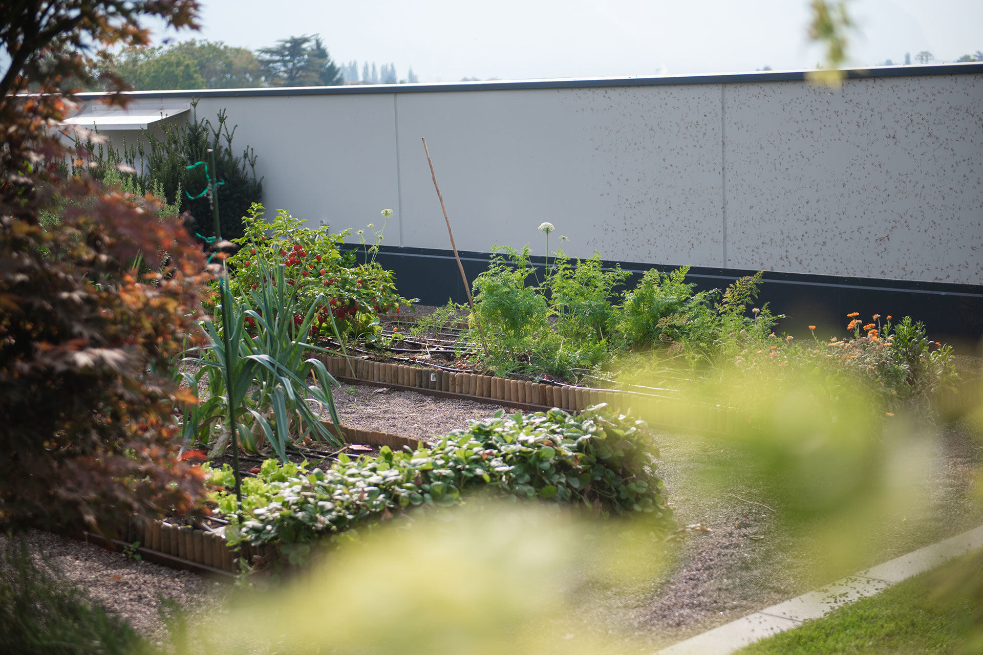 Karriere 6 Karriere svg+xml;charset=utf