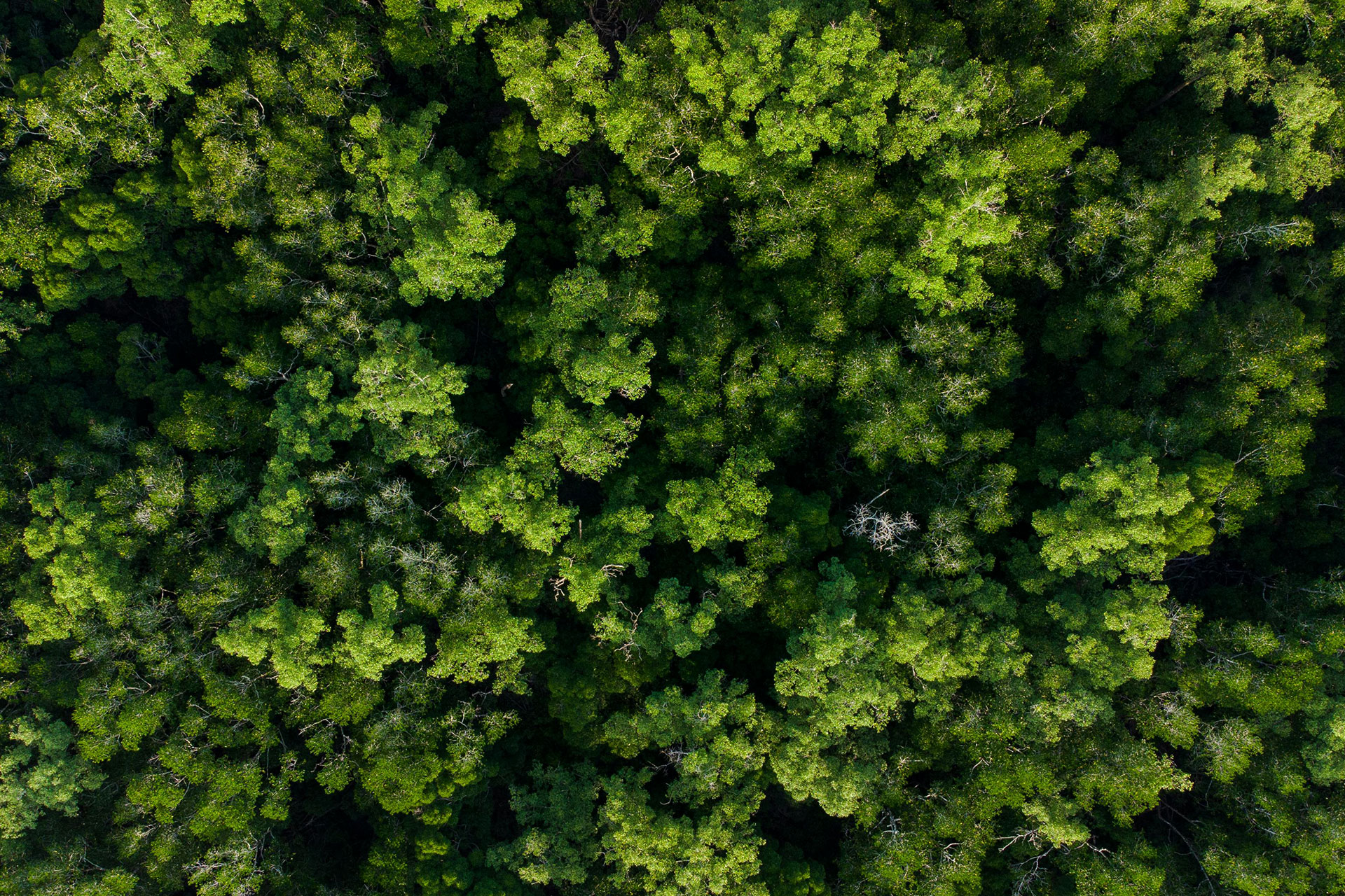 Nachhaltigkeit 3 Nachhaltigkeit svg+xml;charset=utf