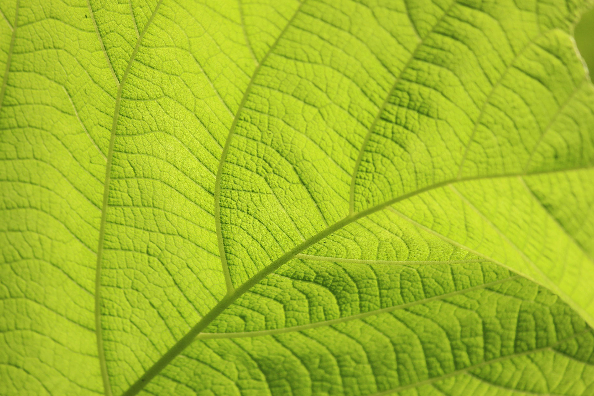 Nachhaltigkeit 9 Nachhaltigkeit svg+xml;charset=utf